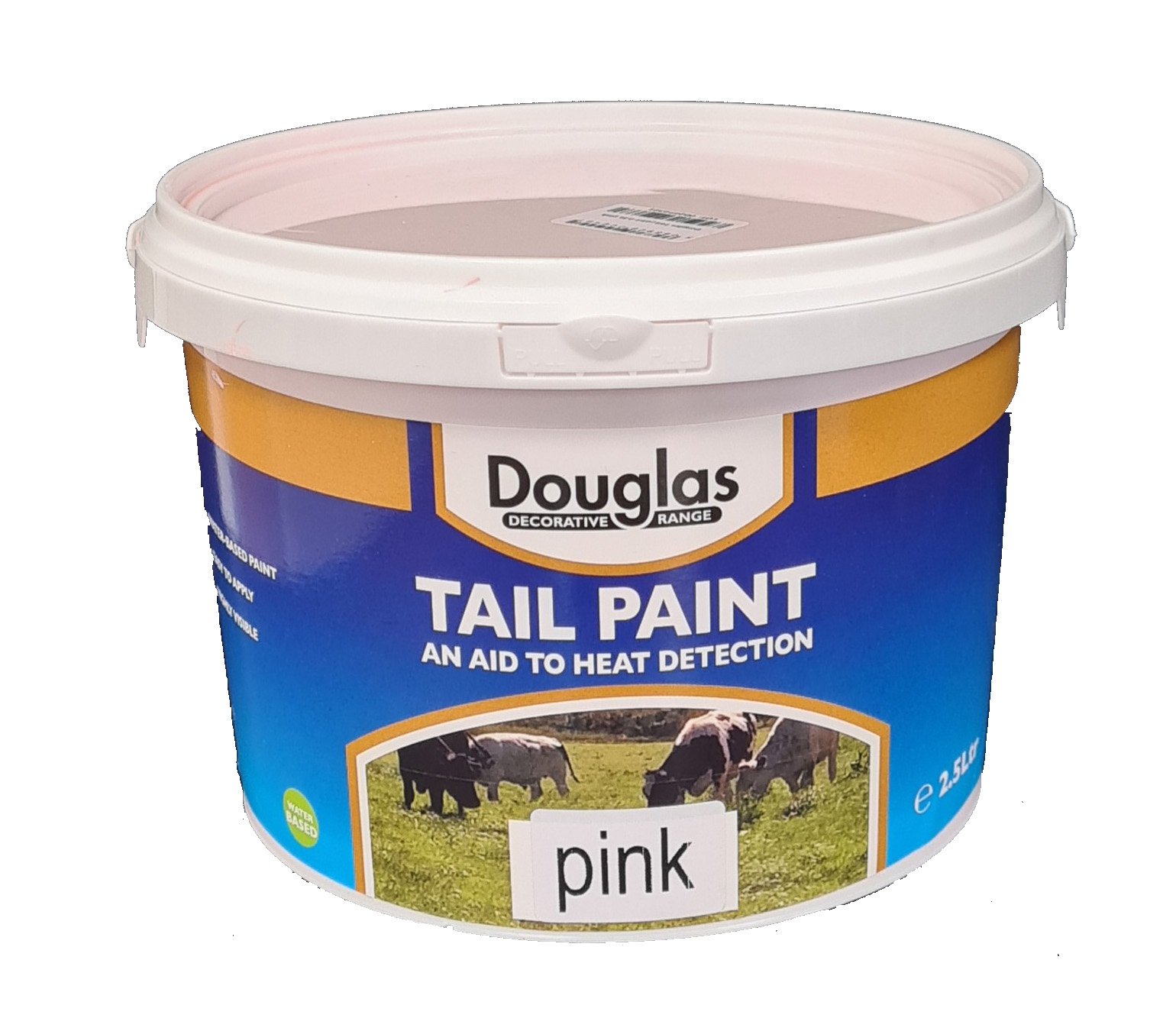 DPTAIL2500B - Tail Paint Blue 2.5ltr, Blue