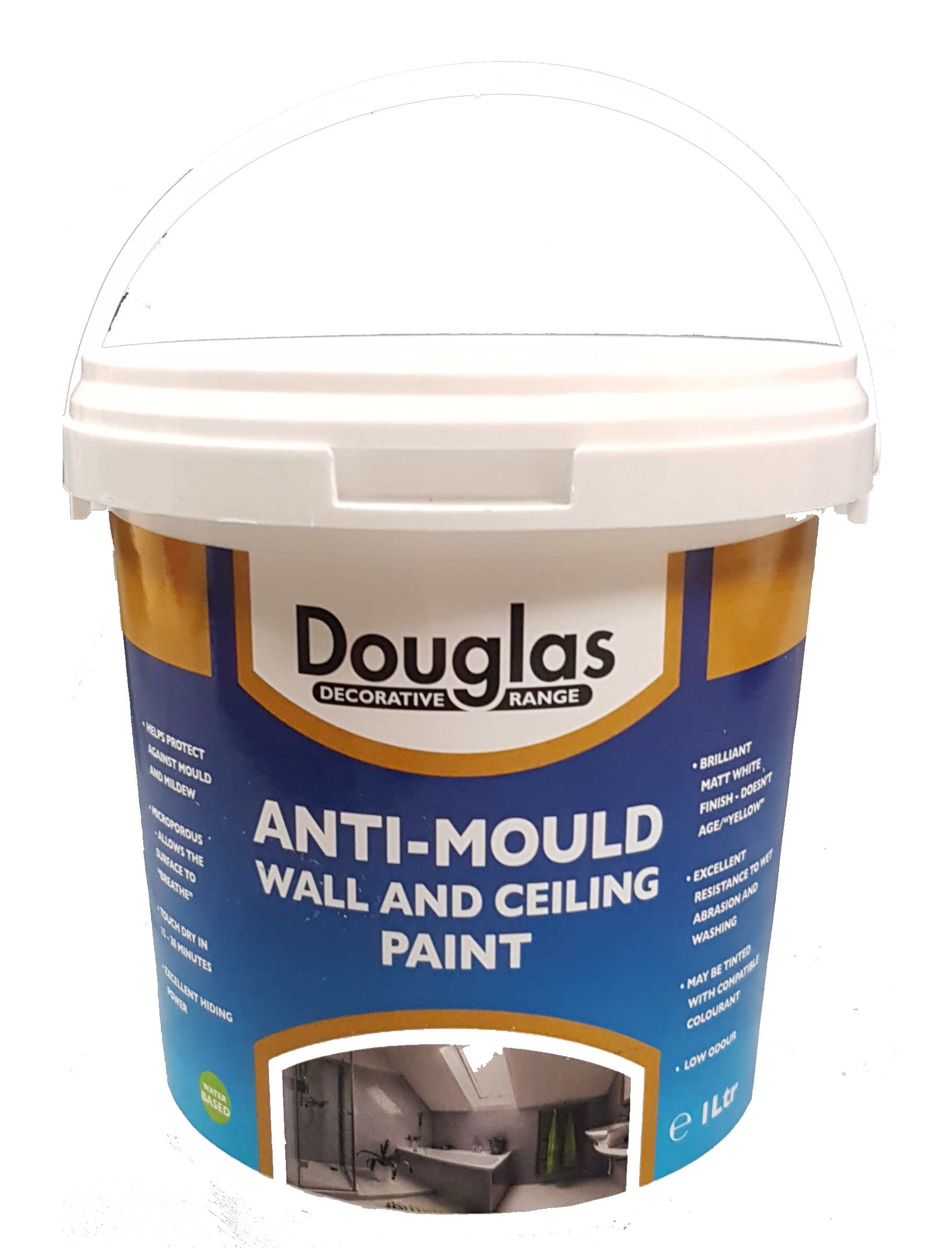 DPX0100 - Anti Mould Paint, 1ltr